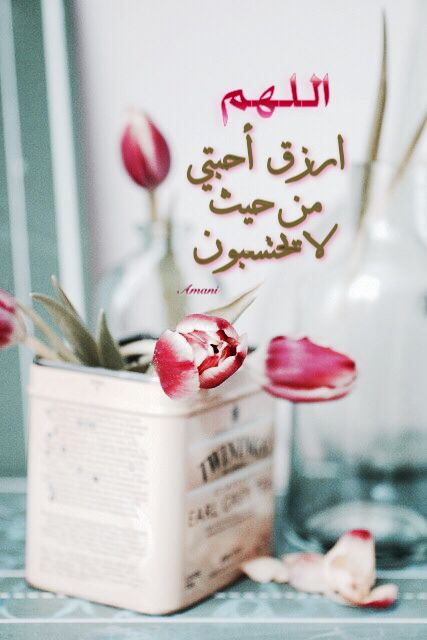 عنوان المقال هنا